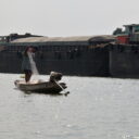 Local fisherman on Chao Phraya river to Ayutthaya